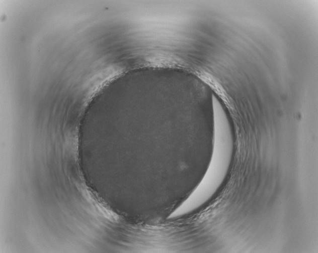 X0000088590442200706221345