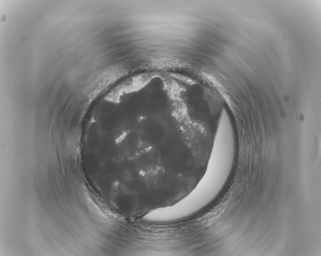 X0000088590443200706221345