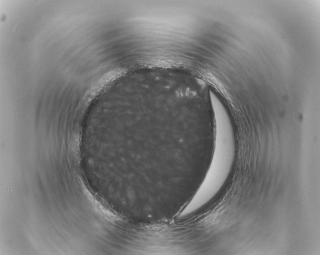 X0000088590444200706221345