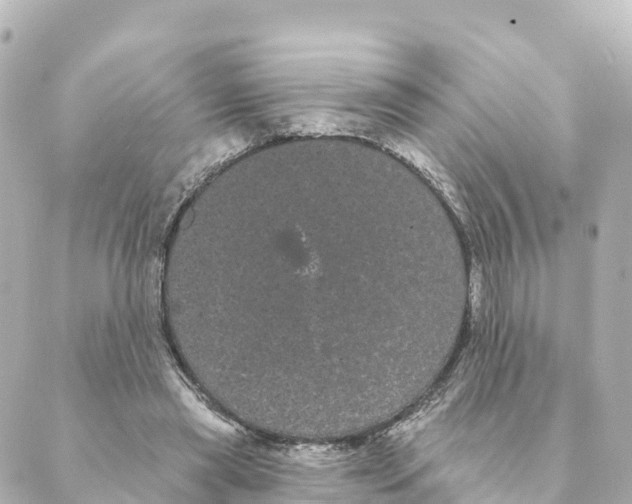 X0000088590445200706221345