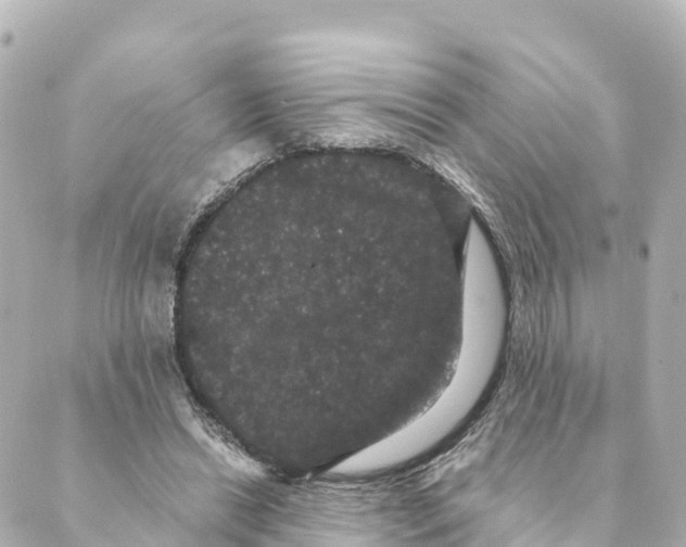 X0000088590446200706221345