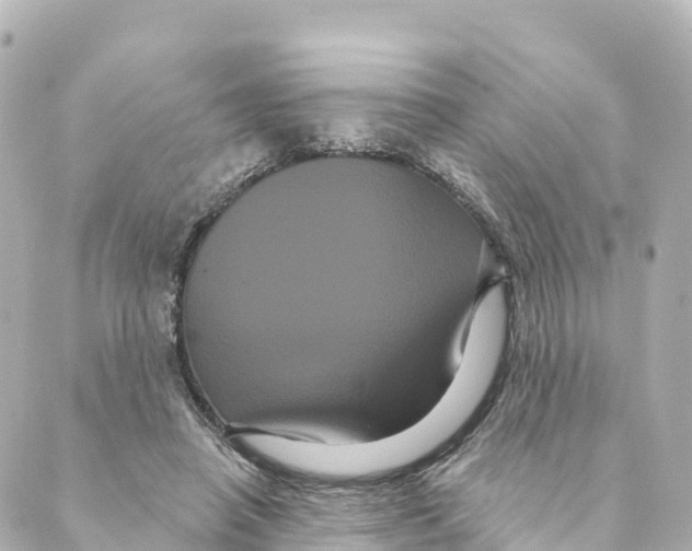 X0000088590450200706221345