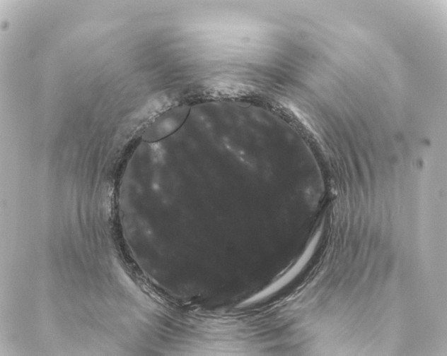 X0000088590451200706221345