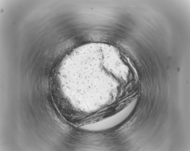 X0000088590453200706221345