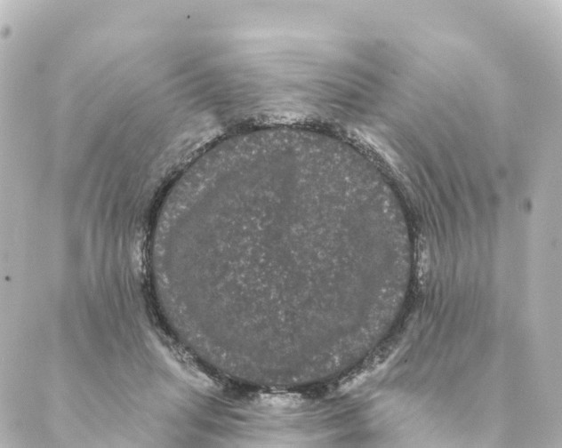 X0000088590455200706221345