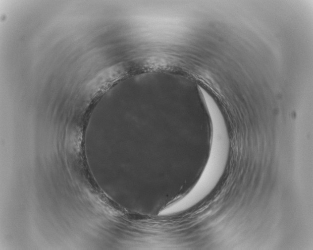 X0000088590458200706221345