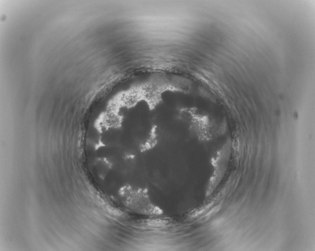 X0000088590462200706221345