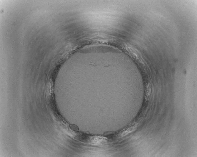 X0000088590463200706221345