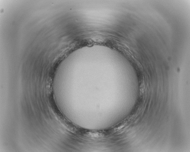 X0000088590464200706221345