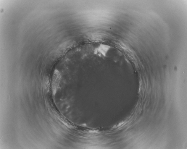 X0000088590465200706221345