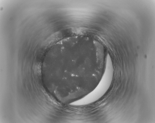 X0000088590466200706221345