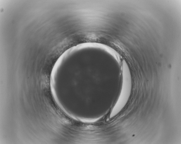 X0000088590467200706221345