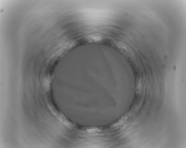 X0000088590468200706221345