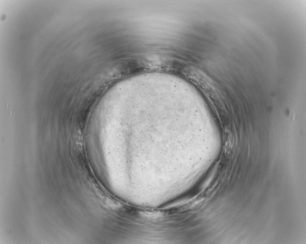 X0000088590469200706221345