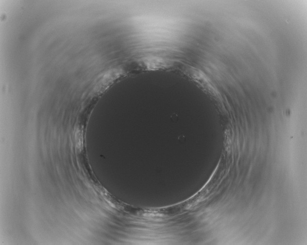 X0000088590471200706221345