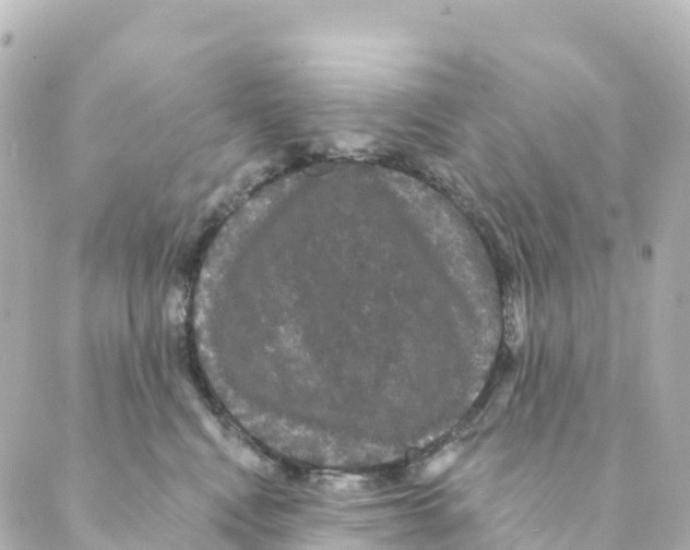 X0000088590472200706221345