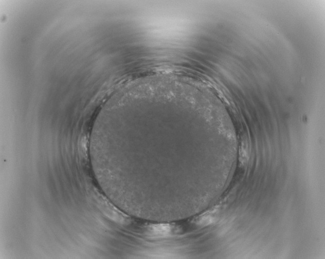 X0000088590473200706221345