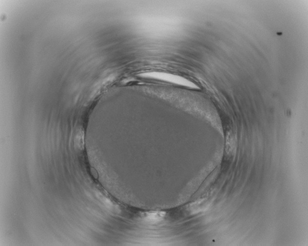 X0000088590474200706221345