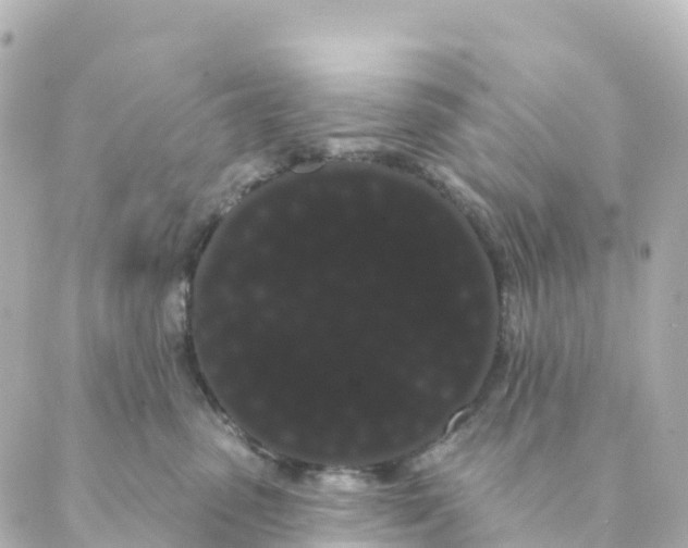 X0000088590475200706221345