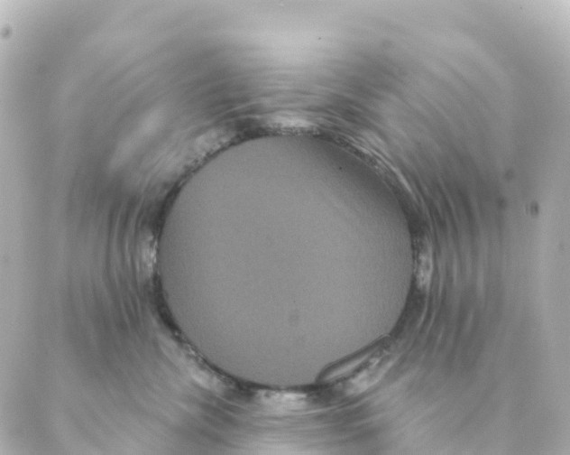 X0000088590476200706221345