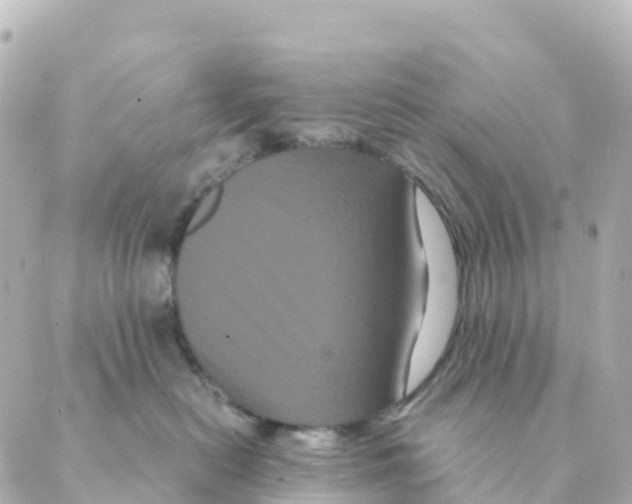 X0000088590478200706221345