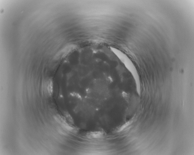 X0000088590479200706221345