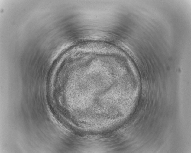 X0000088590482200706221345