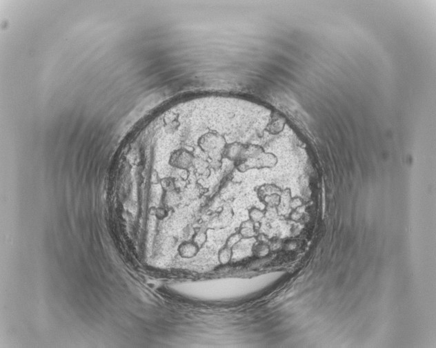 X0000088590483200706221345