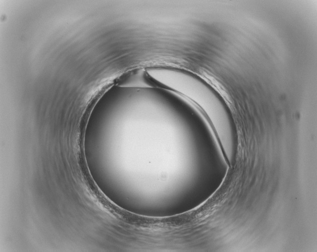 X0000088590485200706221345