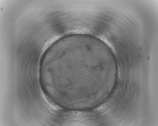 X0000088590486200706221345