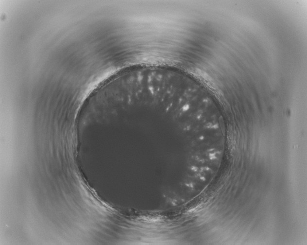 X0000088590488200706221345