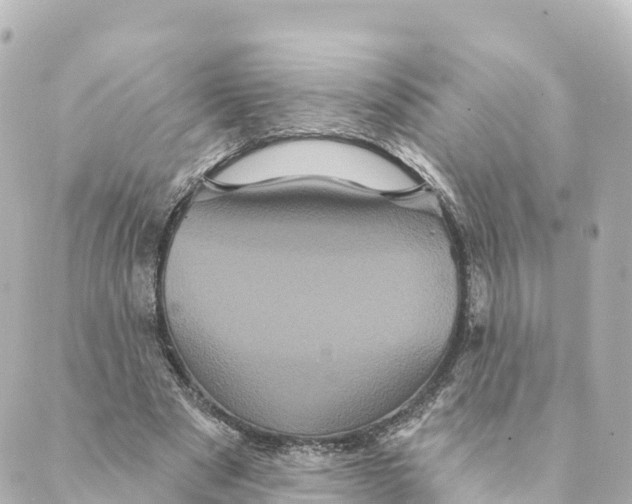 X0000088590489200706221345