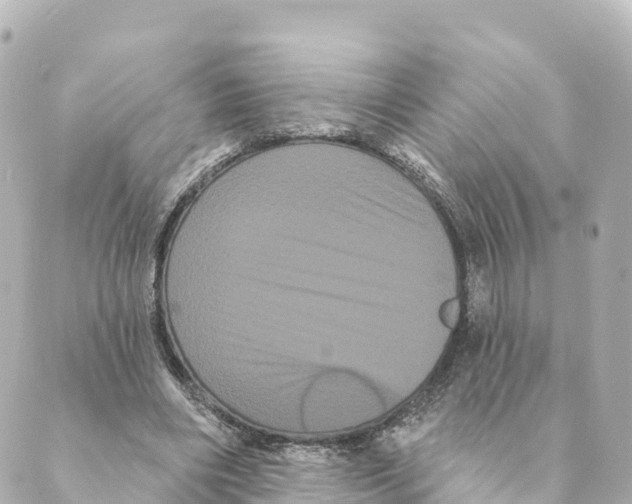 X0000088590490200706221345