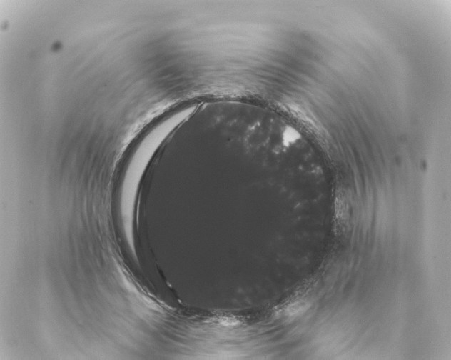 X0000088590492200706221344