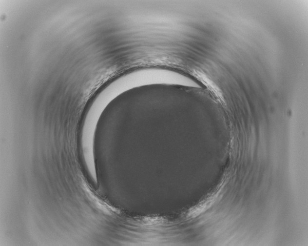 X0000088590493200706221344