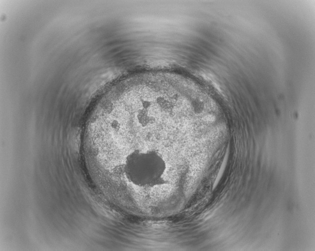 X0000088590495200706221344