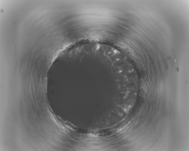 X0000088590496200706221344