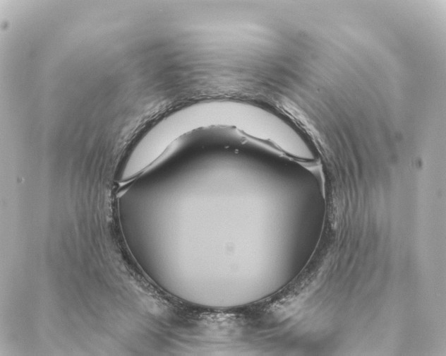 X0000088590497200706221344