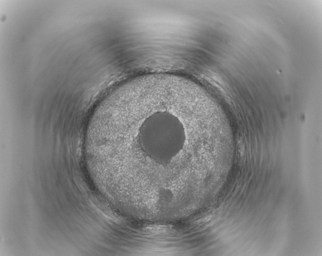 X0000088590499200706221344