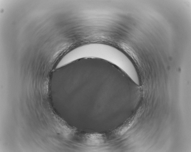 X0000088590501200706221344