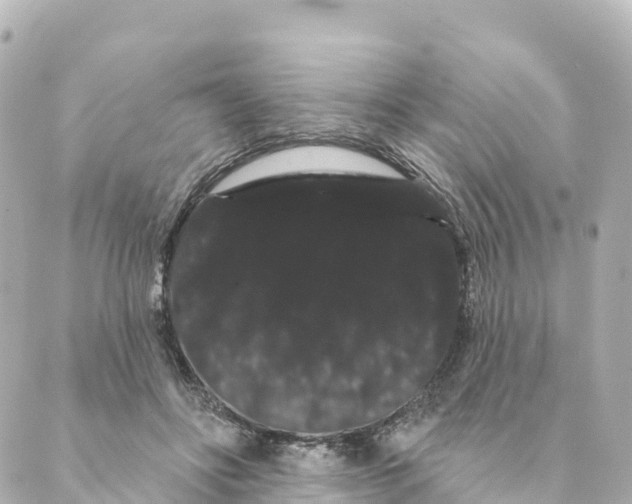 X0000088590502200706221344