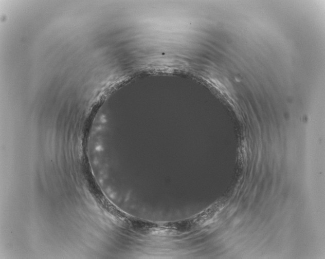 X0000088590504200706221344