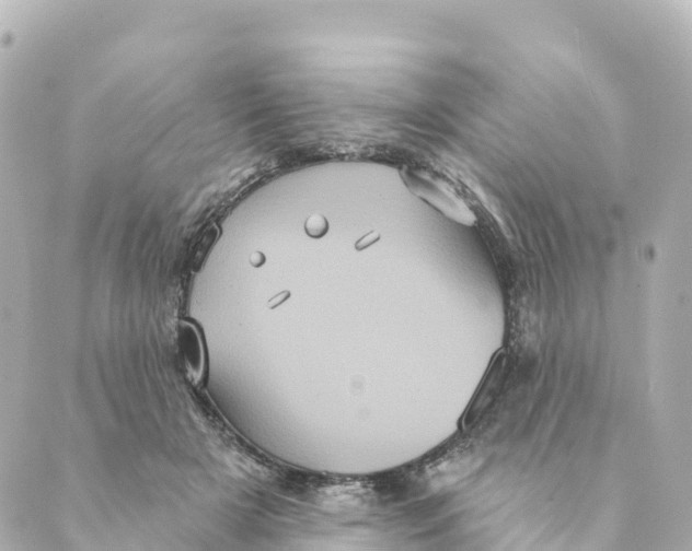 X0000088590505200706221344