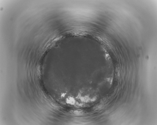 X0000088590506200706221344