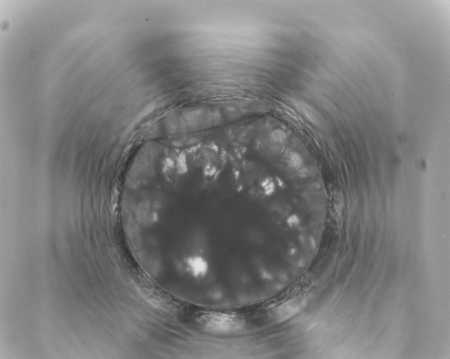 X0000088590507200706221344