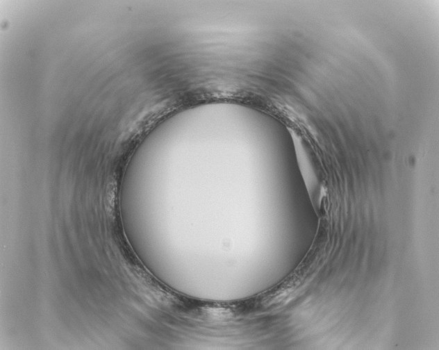 X0000088590509200706221344