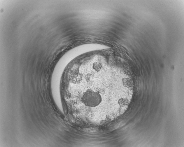 X0000088590511200706221344