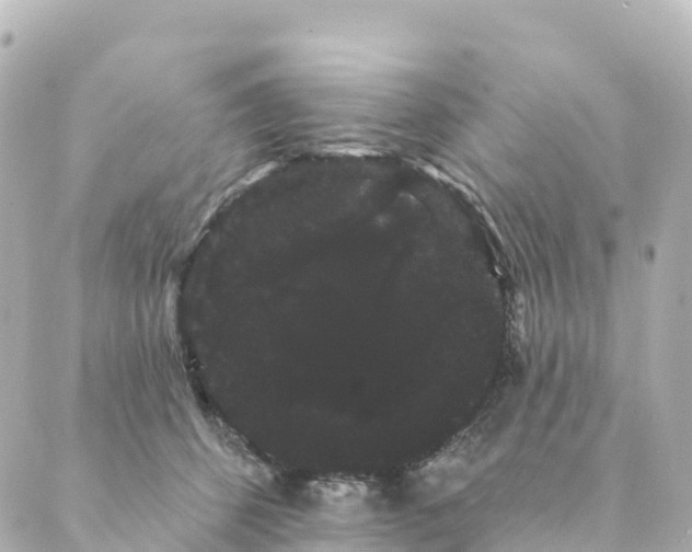 X0000088590512200706221344