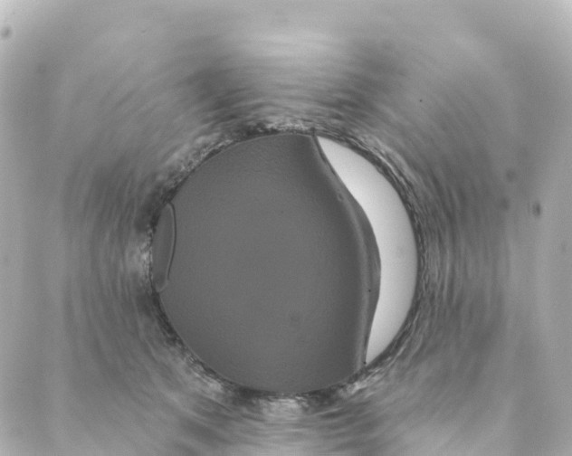 X0000088590513200706221344