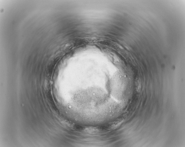 X0000088590515200706221344